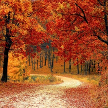 L'automne commence-t-il astronomiquement le même jour chaque année ?