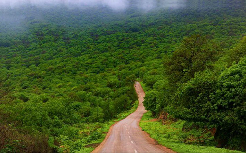 15 pictures of the city of Salalah .. reflecting the most beautiful scenes of nature