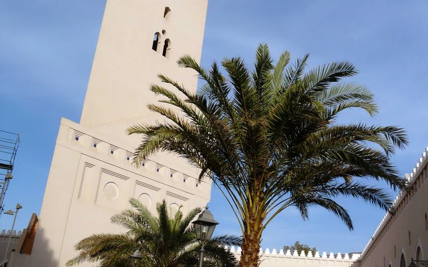 مسجد الشجرة
