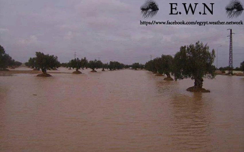بالصور: أمطار طوفانية في جنوب تونس 