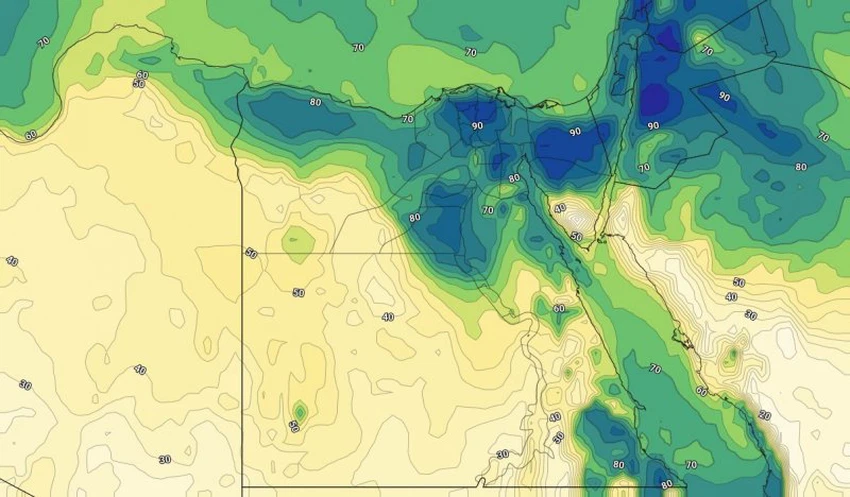 الرطوبة السطحية خلال منتصف الاسبوع الاول من مارس على مصر.jpg