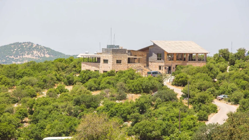 شاهد فيديو: رحلة برية وكشتة ومشاهد لربيع الأردن الخلاب بعدسة المبدع نايف