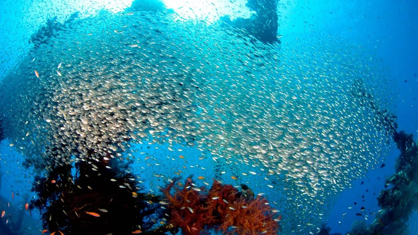 7 مغامرات شيقة بانتظارك في الأردن .. خطط لرحلتك الآن ولتكن وجهتك الأولى وادي رم!