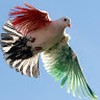 kuwait