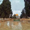 Najah