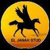 abdullah