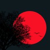 معتصم