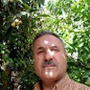 fareed