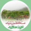 سياف