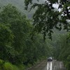drizzl